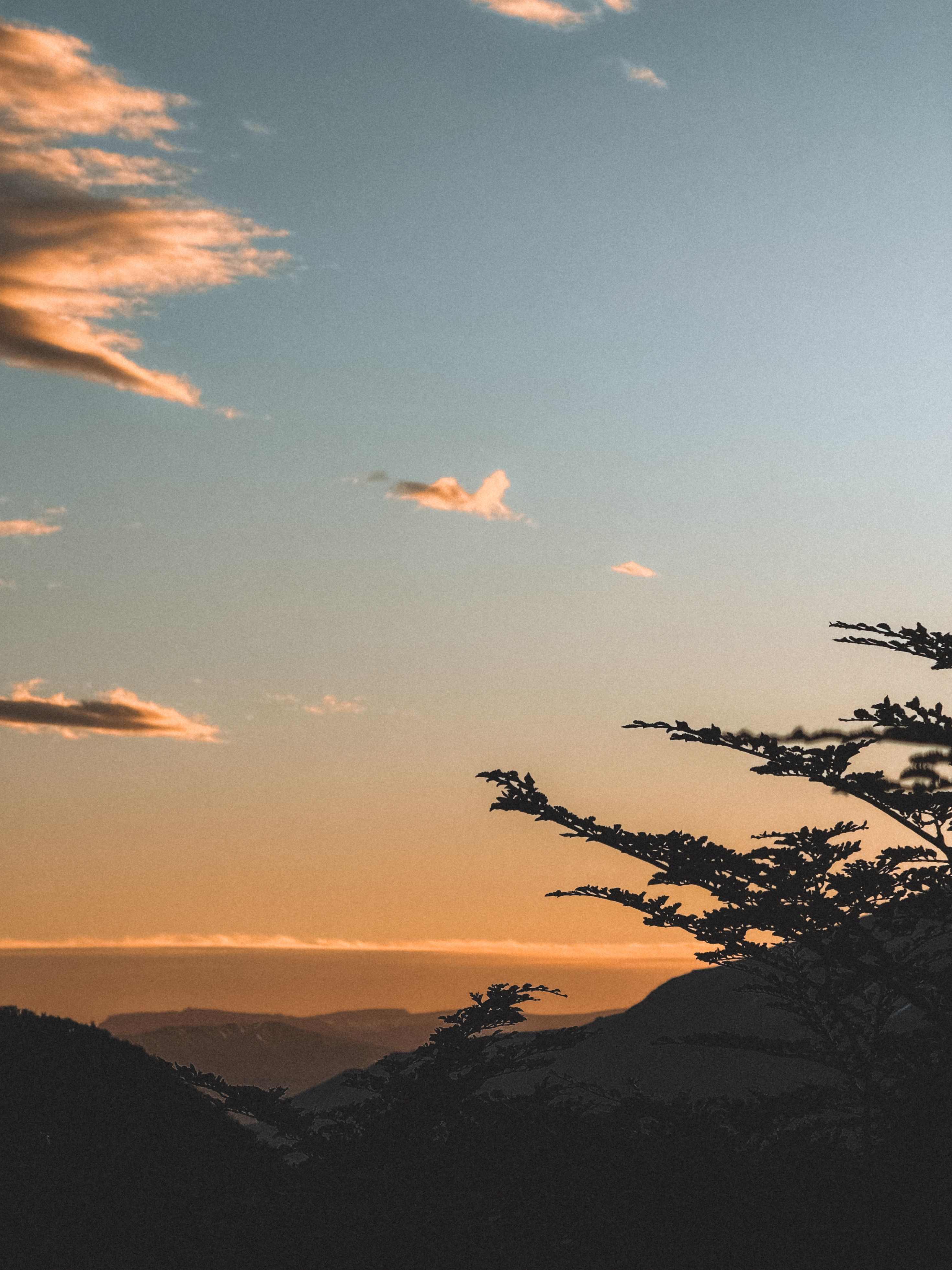 Atardecer sobre paisaje en Magallanes, Chile, con árboles en silueta